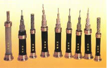 15178366274721.jpg 16000252G-0.jpg